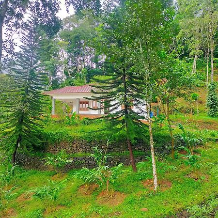 Anivilla Holiday Home Kunjithanny Anachal 外观 照片