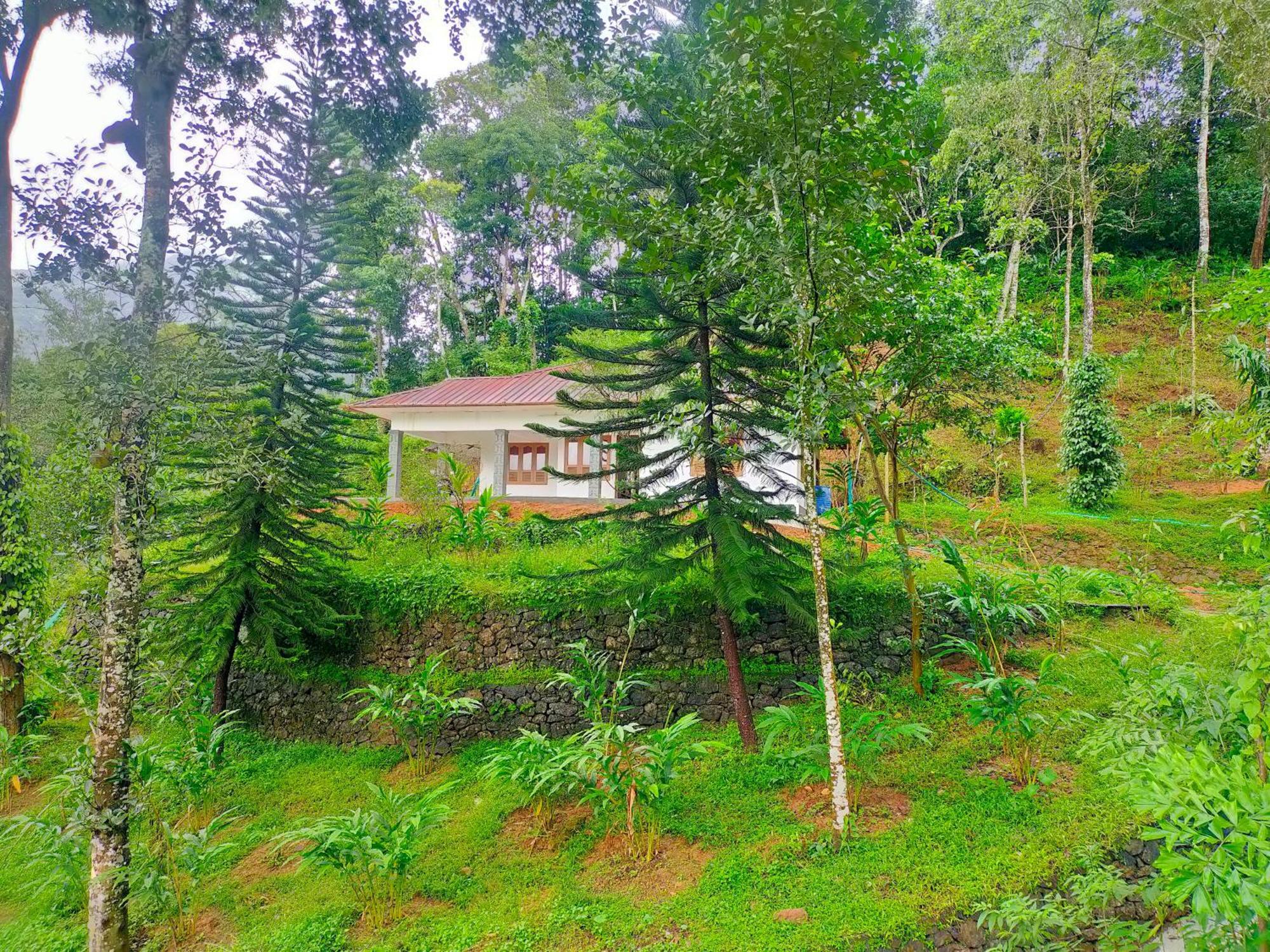 Anivilla Holiday Home Kunjithanny Anachal 外观 照片