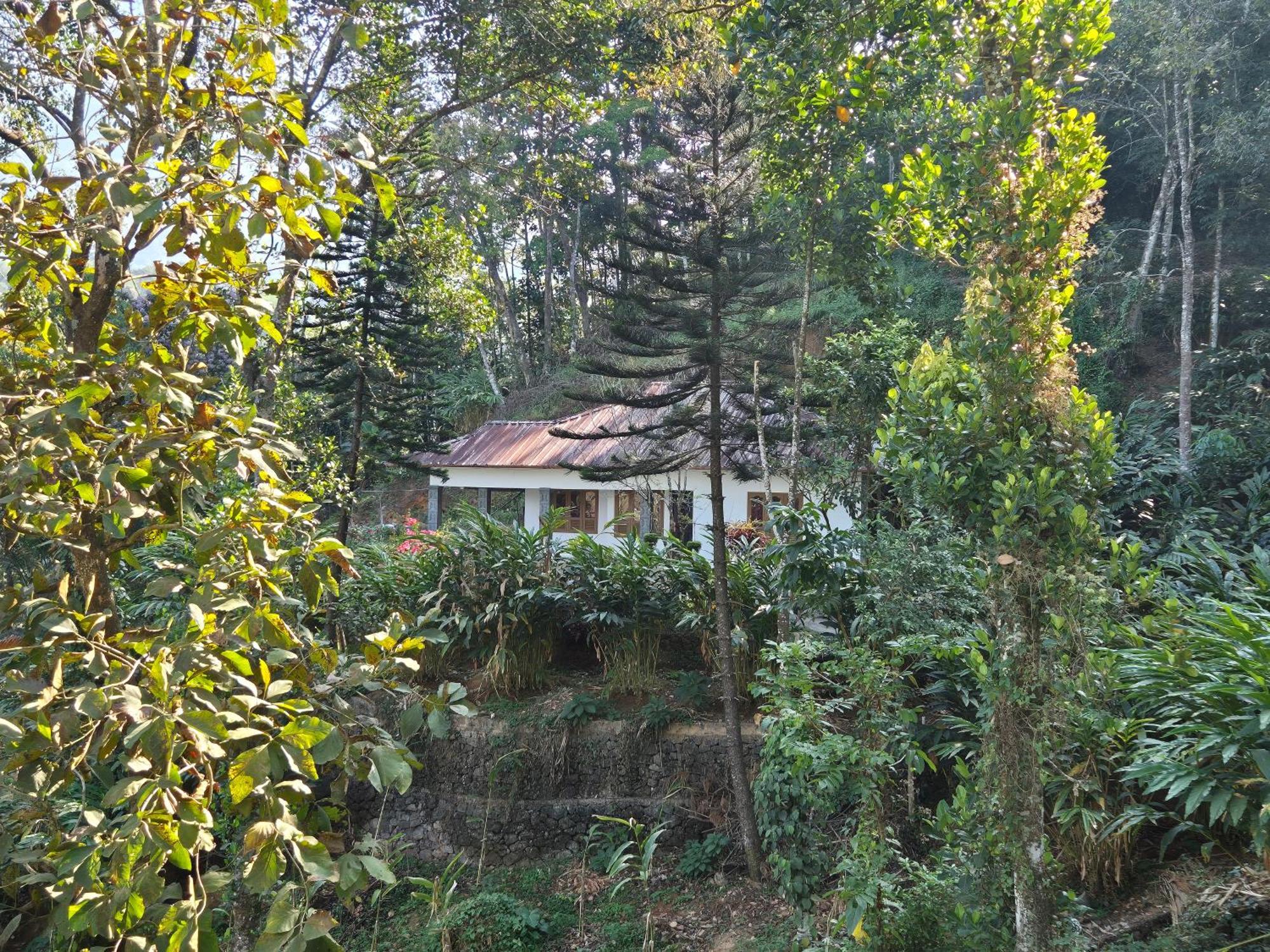 Anivilla Holiday Home Kunjithanny Anachal 外观 照片
