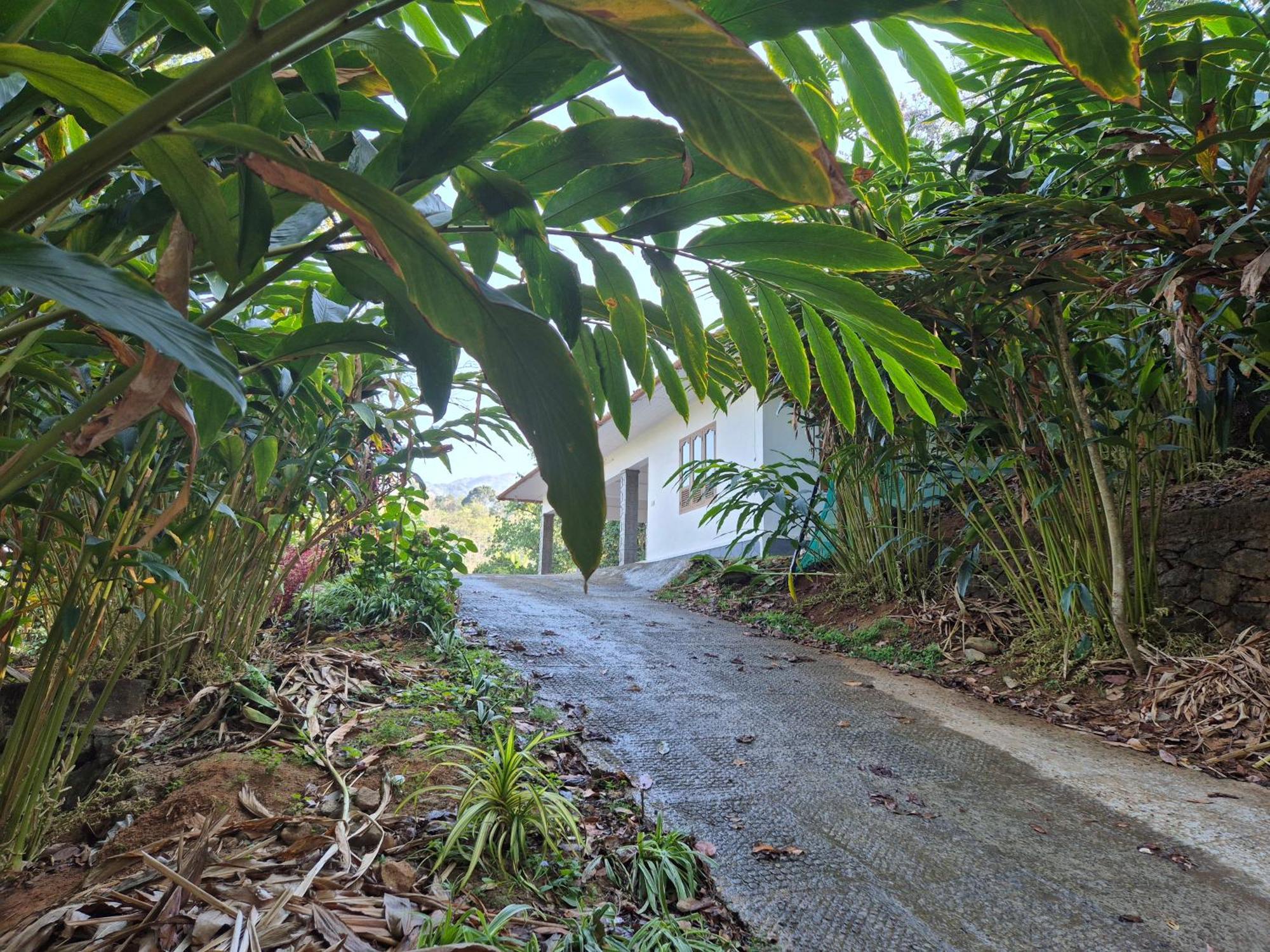 Anivilla Holiday Home Kunjithanny Anachal 外观 照片